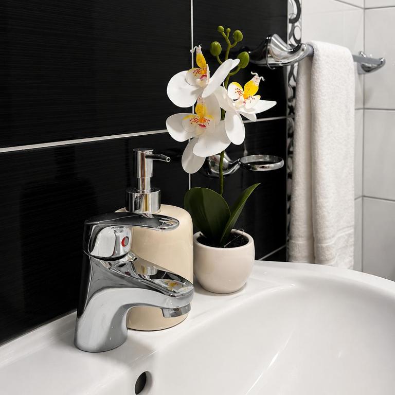 Apartman Centar Agrokop - Apartman sa 1 Spavaćom Sobom - 11