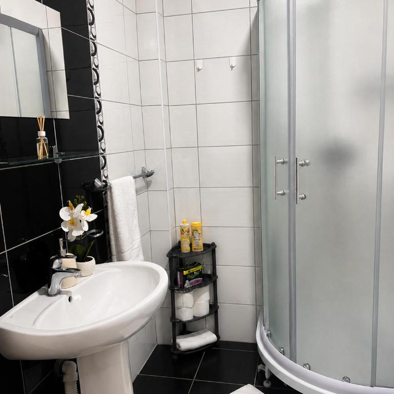 Apartman Centar Agrokop - Apartman sa 1 Spavaćom Sobom - 10