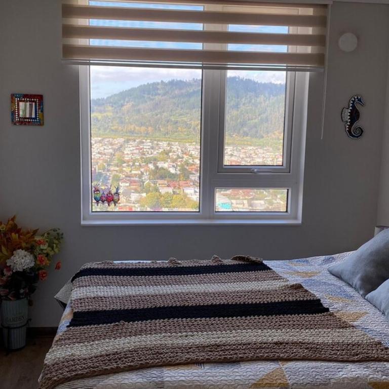 Departamento Centro de Temuco - Apartamento de 1 dormitorio - 13