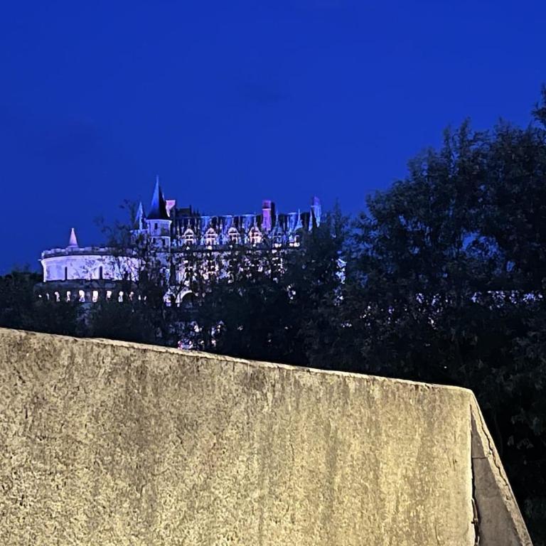 Vue Château ,Centre Ville , Loire, Maison Commire , climatisé - Appartement 1 Chambre - 20