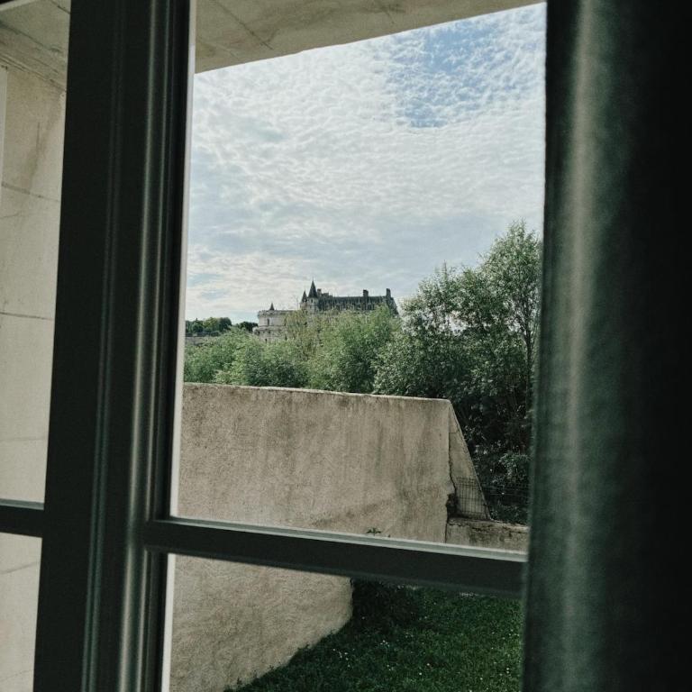 Vue Château ,Centre Ville , Loire, Maison Commire , climatisé - Appartement 1 Chambre - 5