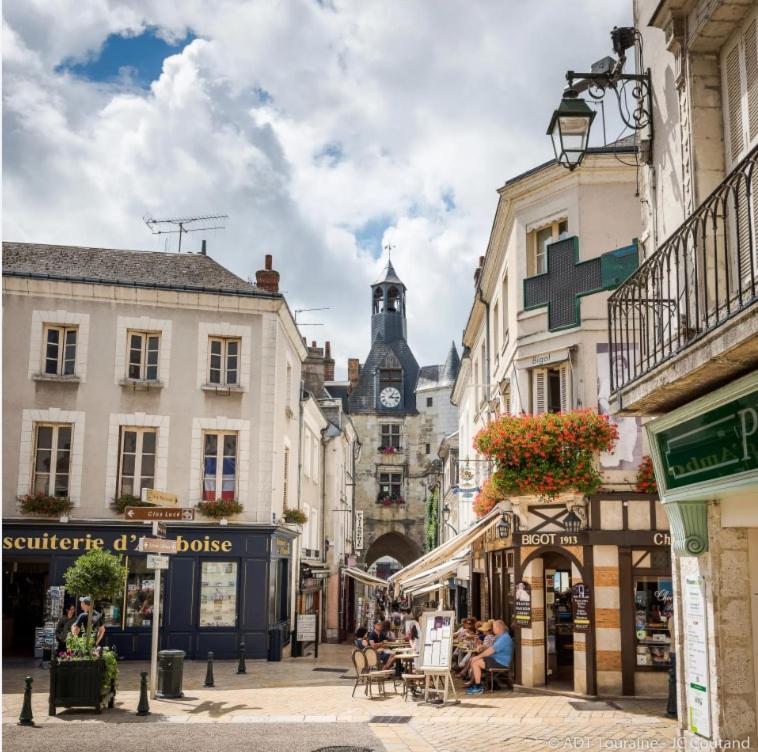 Vue Château ,Centre Ville , Loire, Maison Commire , climatisé - Appartement 1 Chambre - 22