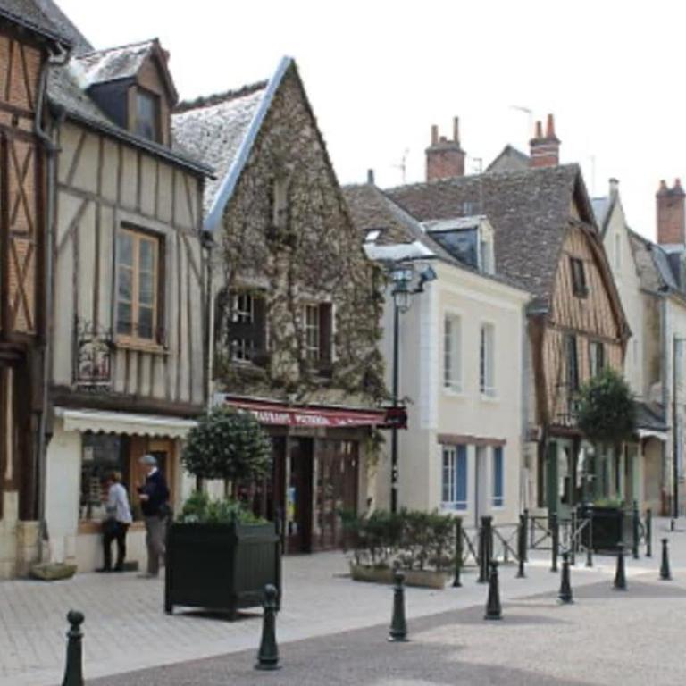 Vue Château ,Centre Ville , Loire, Maison Commire , climatisé - Appartement 1 Chambre - 23