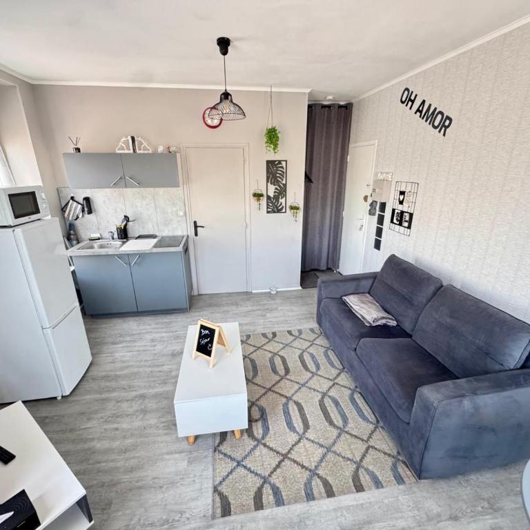 STUDIO Le Petit Gris - Appartement 1 Chambre - 1