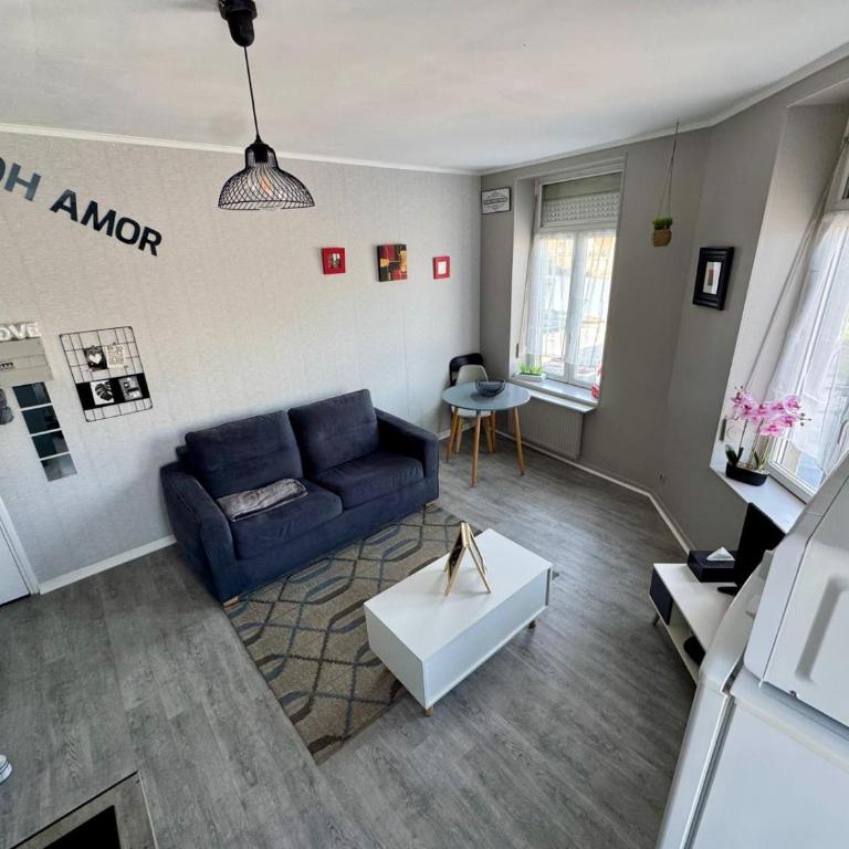 STUDIO Le Petit Gris - Appartement 1 Chambre - 6