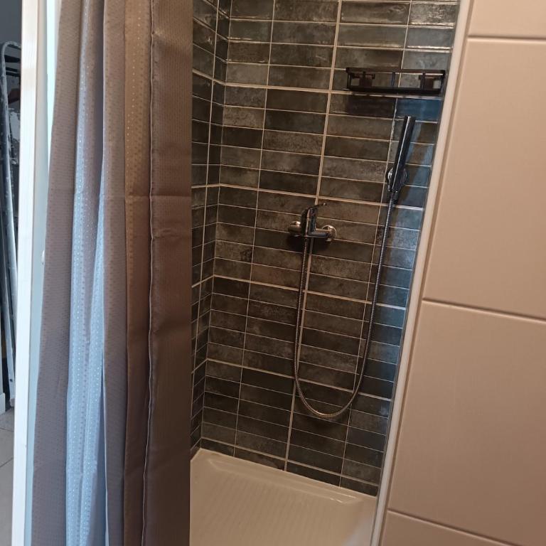 Studio - Apartment mit 1 Schlafzimmer - 11