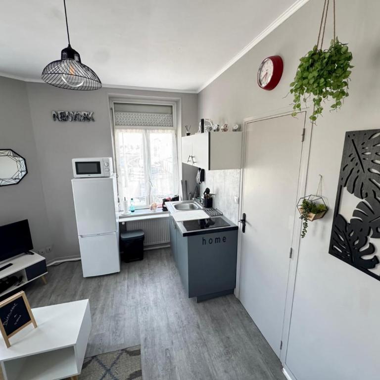 STUDIO Le Petit Gris - Appartement 1 Chambre - 4