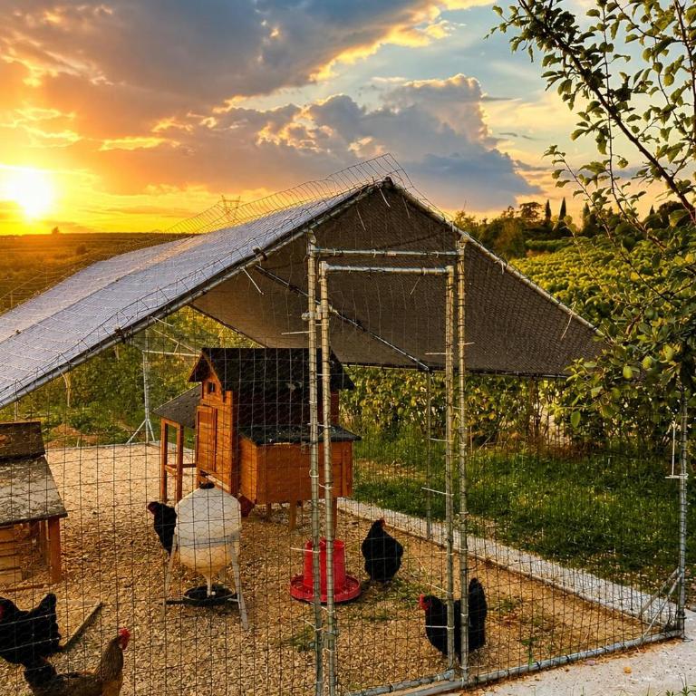 Agriturismo Corte Busola Private Jacuzzi with Breathtaking Views of Valpolicella - Appartamento con 1 Camera da Letto - 34