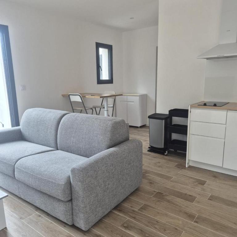 Appartement des Hirondelles - Appartement 1 Chambre - 5