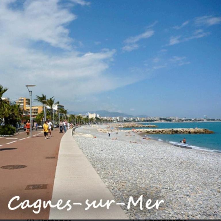 F2 near beach and train station - Appartement 1 Chambre - 18