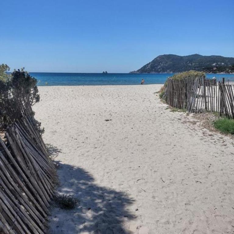 studio bord de mer, clim, jardin et parking - Appartement 1 Chambre - 9