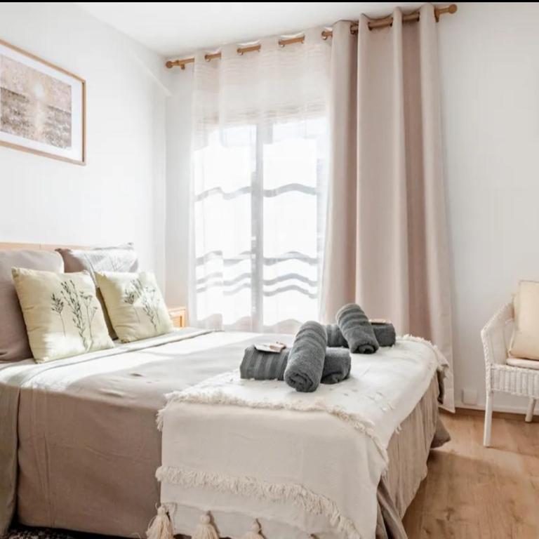 Le Petit Arlésien T2 centre-ville Arles, 4 personnes, chambre et salon séparé - One-Bedroom Apartment - 4