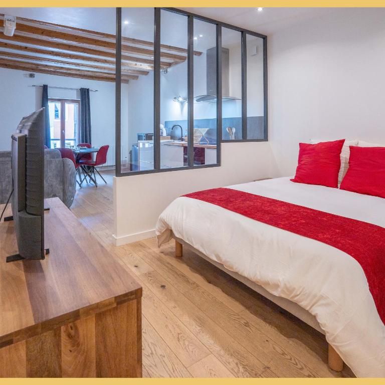 Chez Thomas I Studio I Annecy - Appartement 1 Chambre - 7