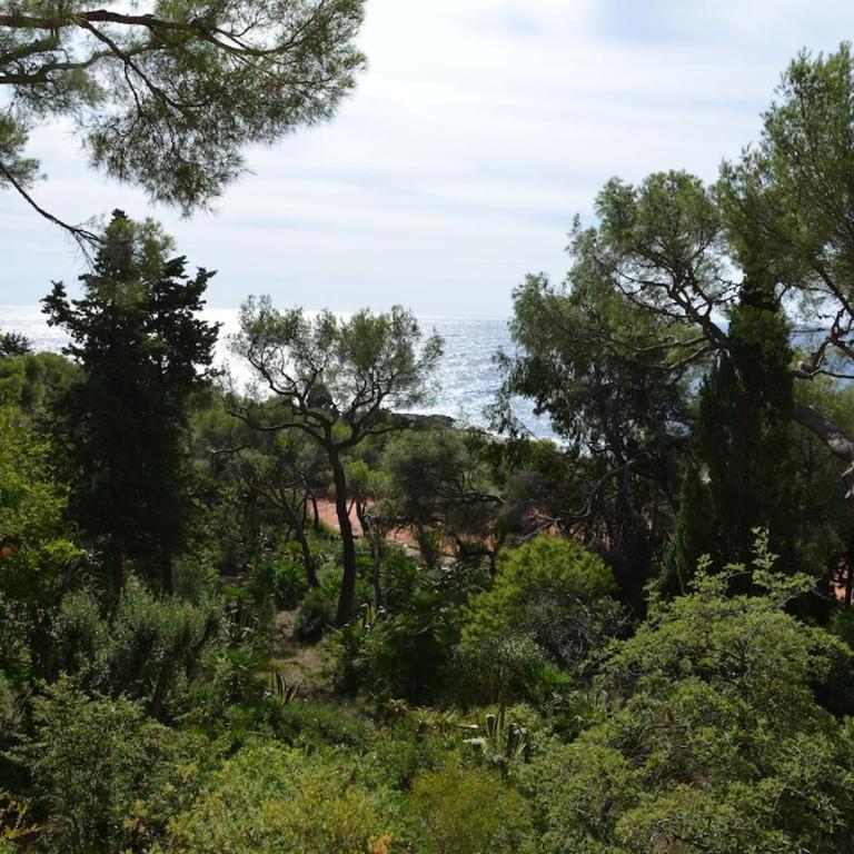 3 rooms sea view private park and beach - Appartement 2 Chambres - 38