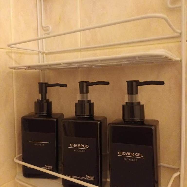 Parma Soul - Historic Center Apartment - Appartamento con 1 Camera da Letto - 2