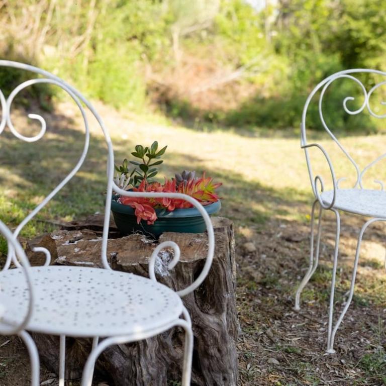 Olive Grove Serenity Retreat 2, Bungalow - Apartman sa 1 Spavaćom Sobom - 13