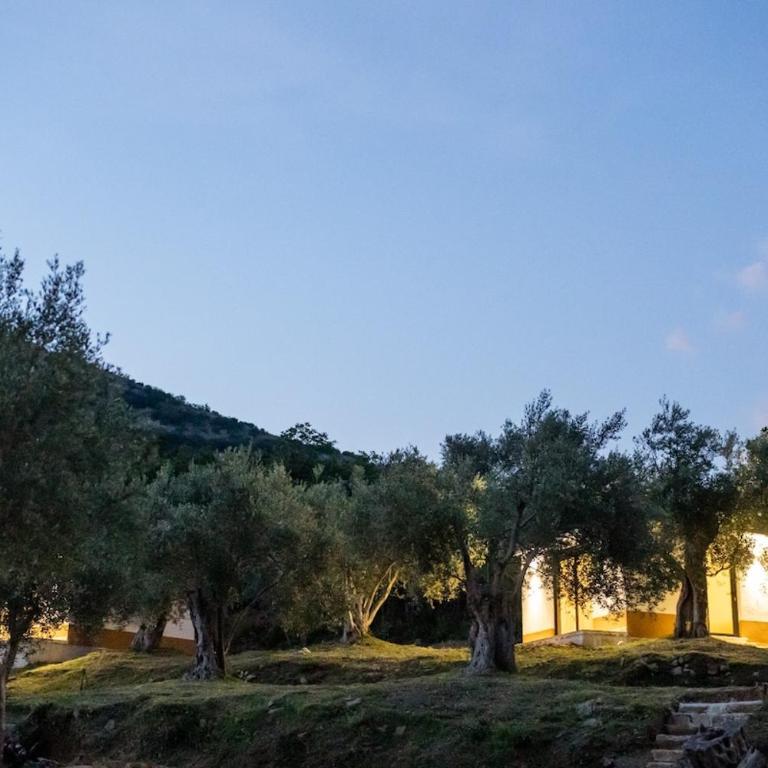 Olive Grove Serenity Retreat 2, Bungalow - Apartman sa 1 Spavaćom Sobom - 11