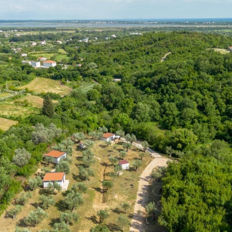 Olive Grove Serenity Retreat 2, Bungalow - Apartman sa 1 Spavaćom Sobom - 9