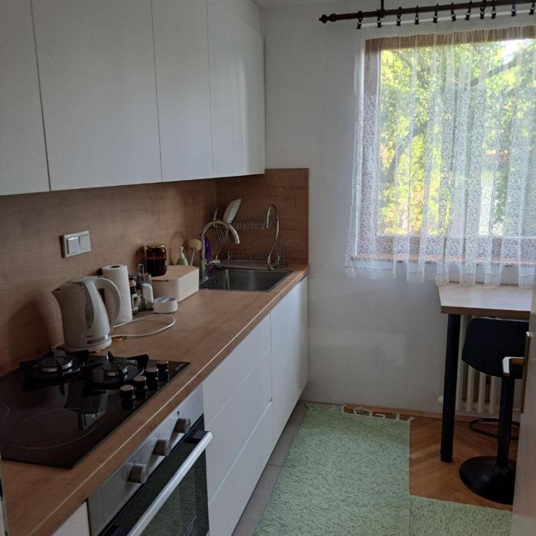 Secret Garden - Apartman sa 1 Spavaćom Sobom - 5