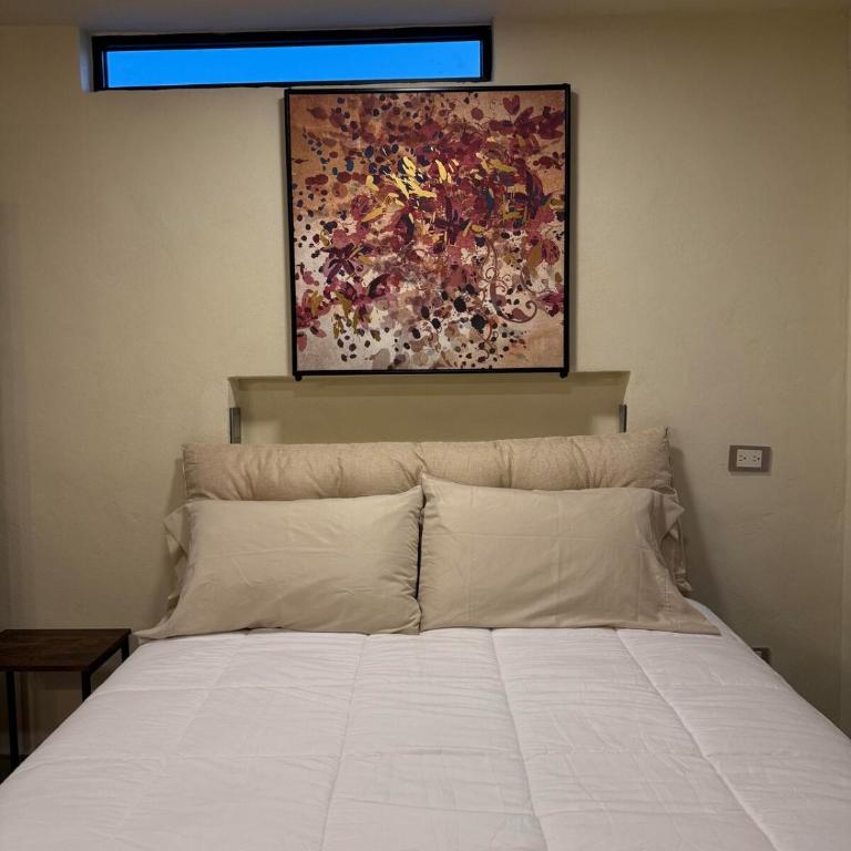 Habitacion ejecutiva en Apodaca - Apartamento de 1 dormitorio - 2