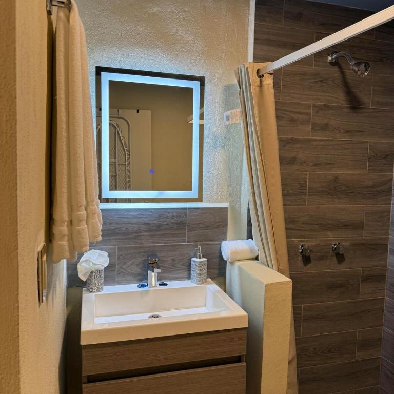 Habitacion ejecutiva en Apodaca - Apartamento de 1 dormitorio - 3