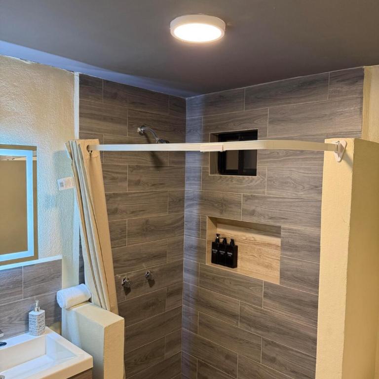 Habitacion ejecutiva en Apodaca - Apartamento de 1 dormitorio - 4