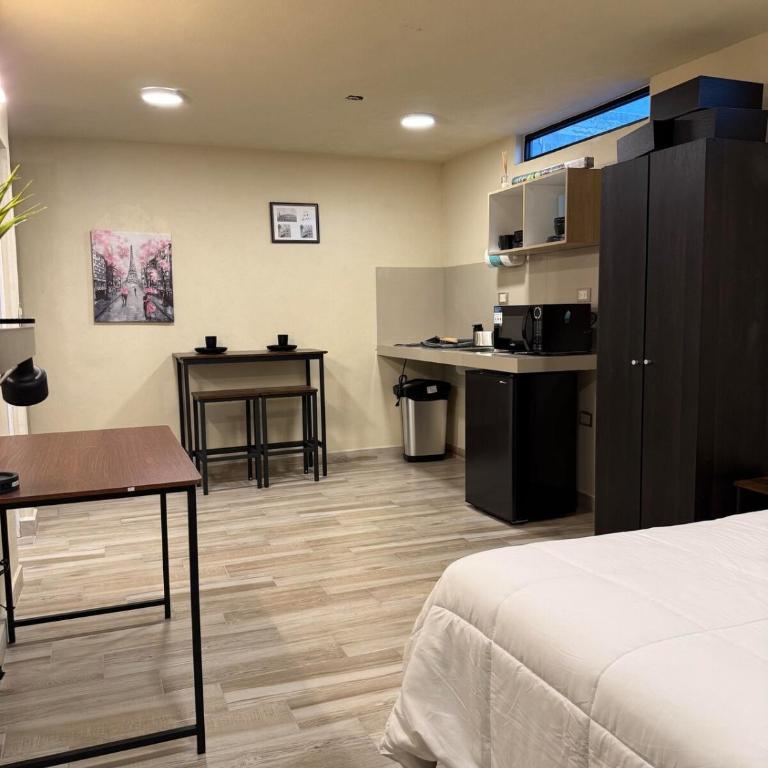 Habitacion ejecutiva en Apodaca - Apartamento de 1 dormitorio - 6