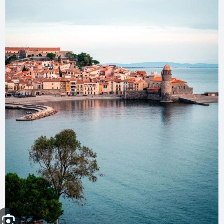- Bellerive - Free bikes and garden 5 minutes from the sea - Appartement 1 Chambre - 3