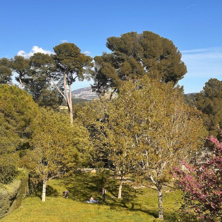 A little gem rated 4 stars! - Appartement 2 Chambres - 5