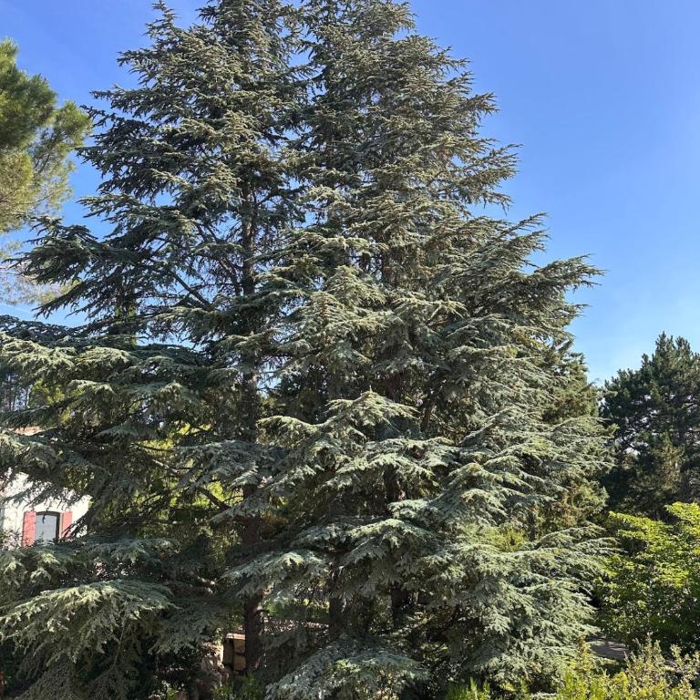 A little gem rated 4 stars! - Appartement 2 Chambres - 23