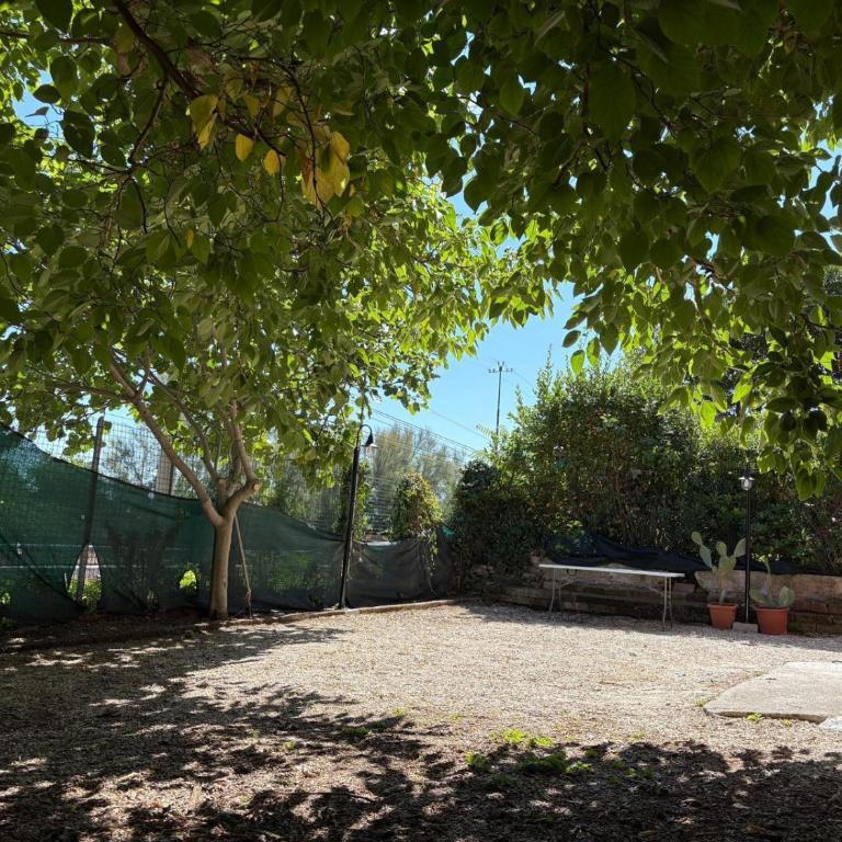 La casa del granchio - Appartamento con 1 Camera da Letto - 1