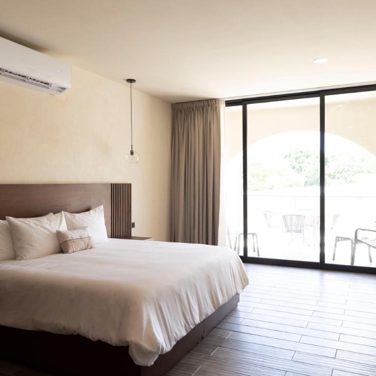 Moreira Hotel Boutique - Suite Deluxe - 2