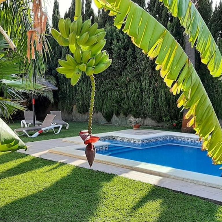 Andalusian holiday home 6 pax with community swimming pool - Three-Bedroom House - 29