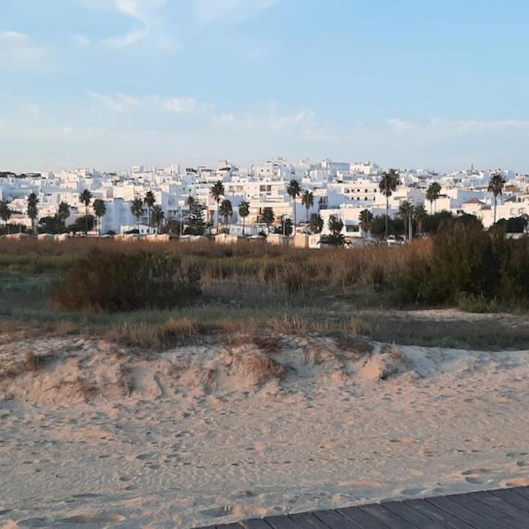Andalusian holiday home 6 pax with community swimming pool - Three-Bedroom House - 19