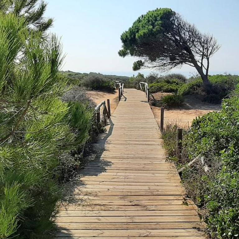 Andalusian holiday home 6 pax with community swimming pool - Three-Bedroom House - 6