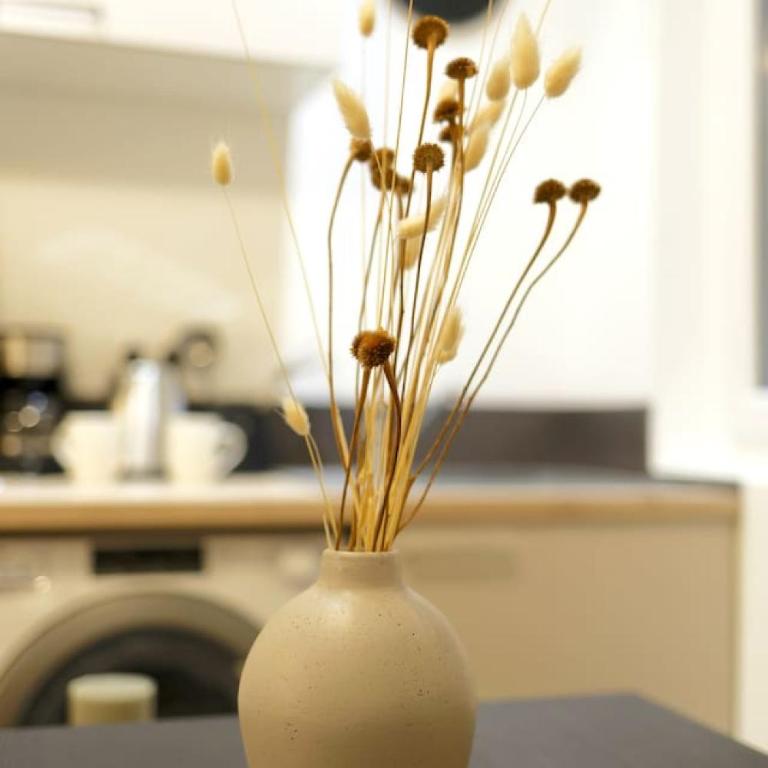 Cosy corner - Ecusson T2 Design - Appartement 1 Chambre Supérieur - 21