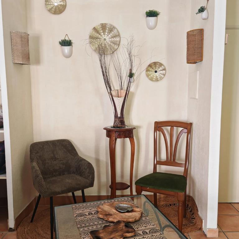 Studio 35m2 rénové et tout équipé cœur de ville Béziers - Appartement 1 Chambre - 8