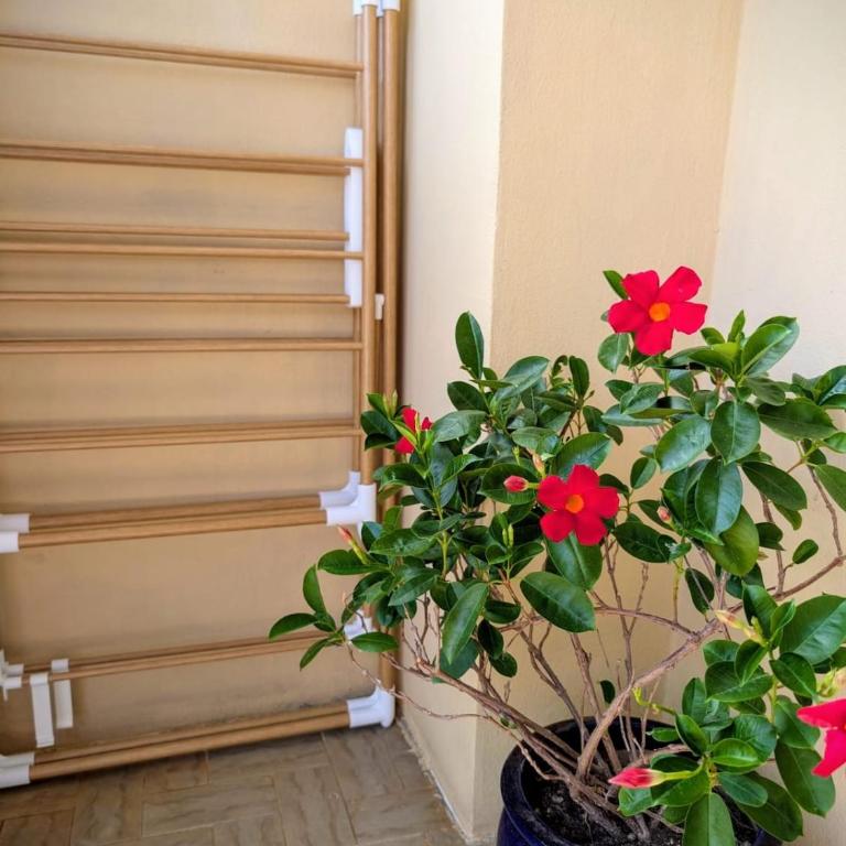 Nice Port - Spacious, calm, AC, view - 4 pax, parking - One-Bedroom Apartment - 12
