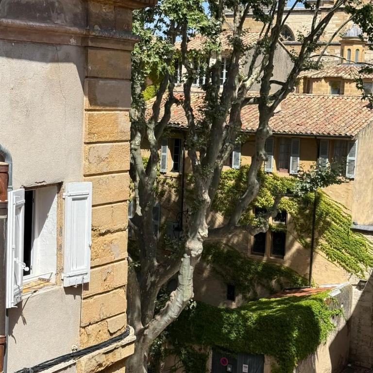 Charmant cocon sous les toits au cœur du Vieil Aix - Apartamento de 1 dormitorio - 6
