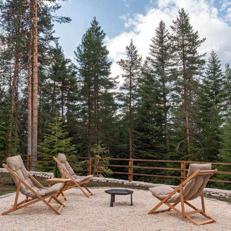 Durmitor forest lodge - Vila sa 1 Spavaćom Sobom - 18