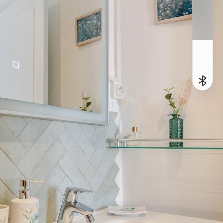Le Petit Arlésien T2 centre-ville Arles, 4 personnes, chambre et salon séparé - One-Bedroom Apartment - 13
