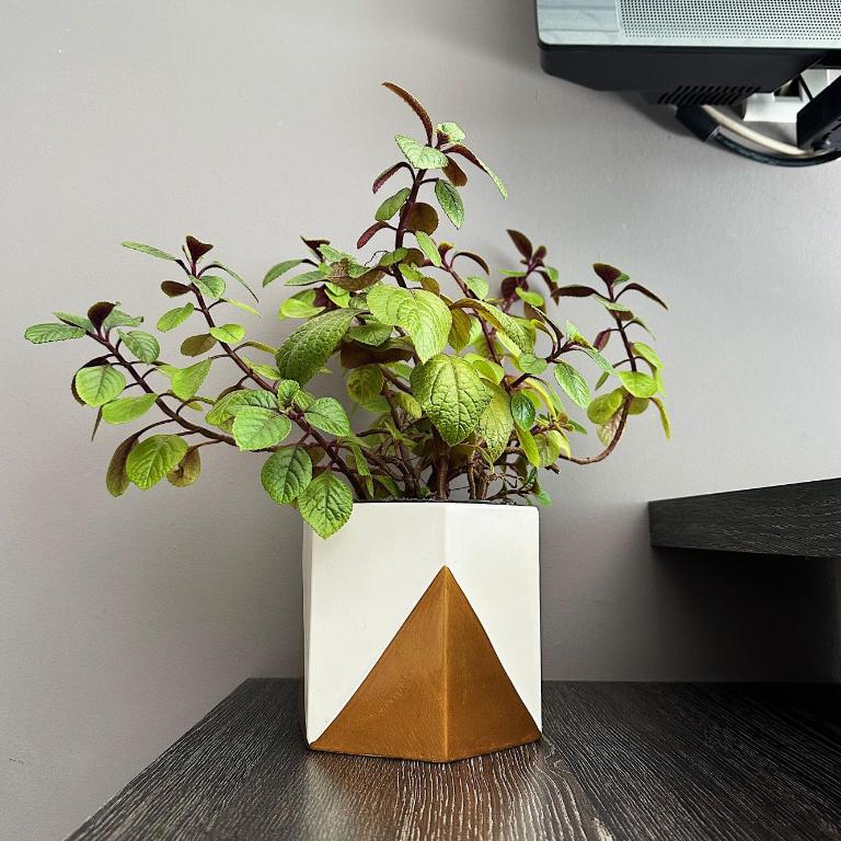 Botánico I - Apartamento de 1 dormitorio - 8