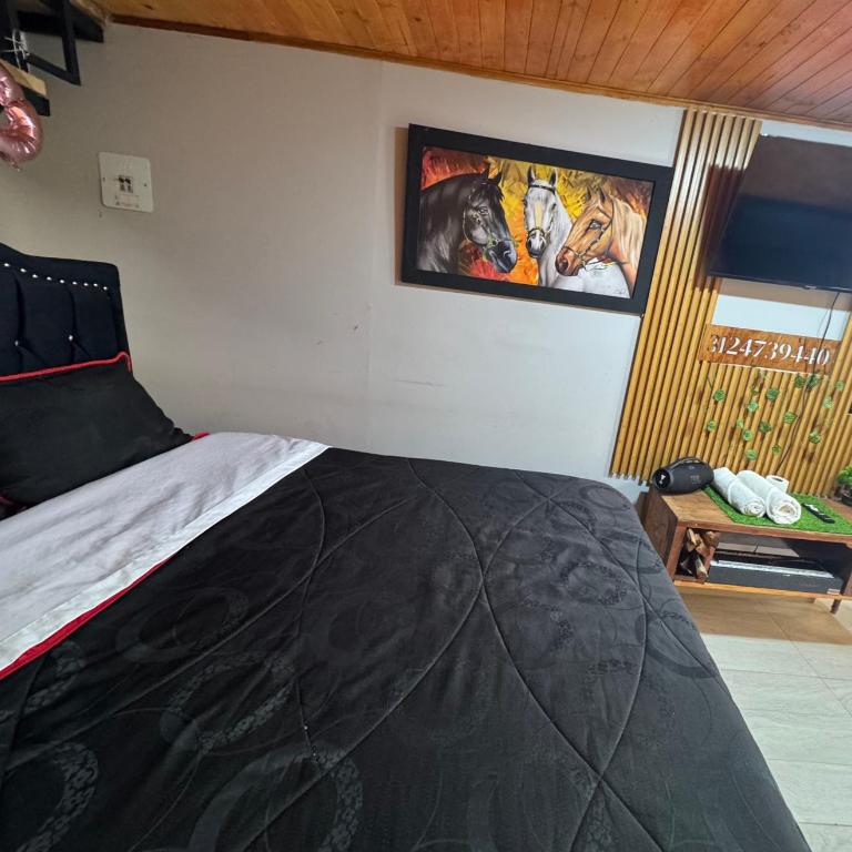 Lago de Tota GALAMPLAY lodge - Chalet de 1 dormitorio - 2