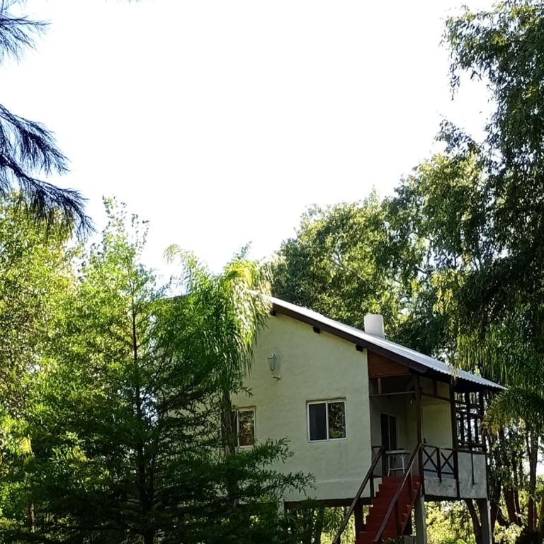 Ciervorojotigre - Casa de 2 dormitorios - 9