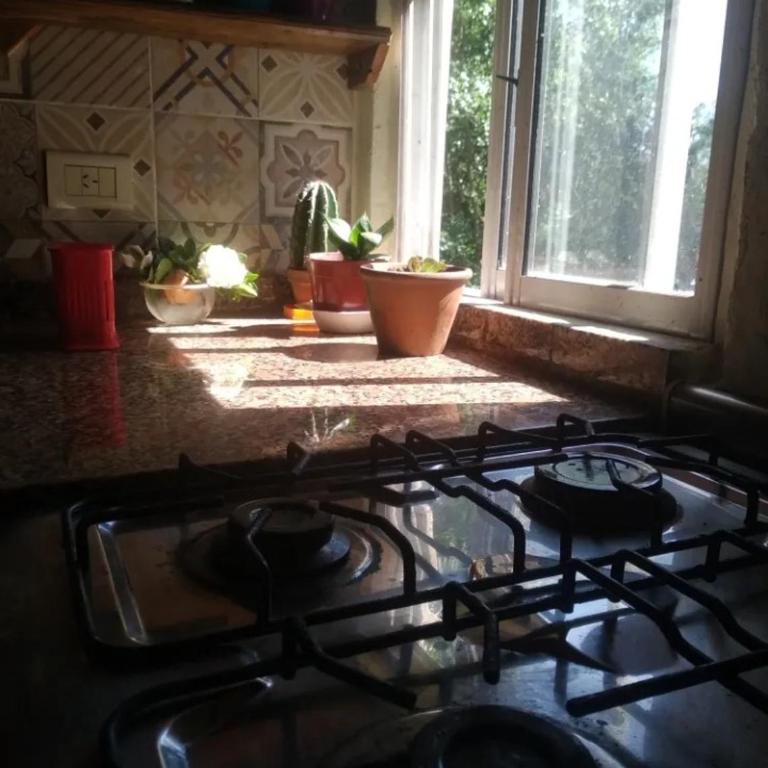 Ciervorojotigre - Casa de 2 dormitorios - 14