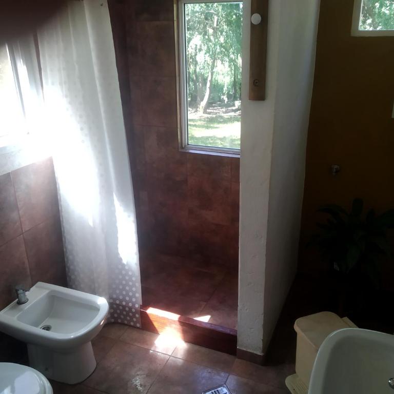 Ciervorojotigre - Casa de 2 dormitorios - 31