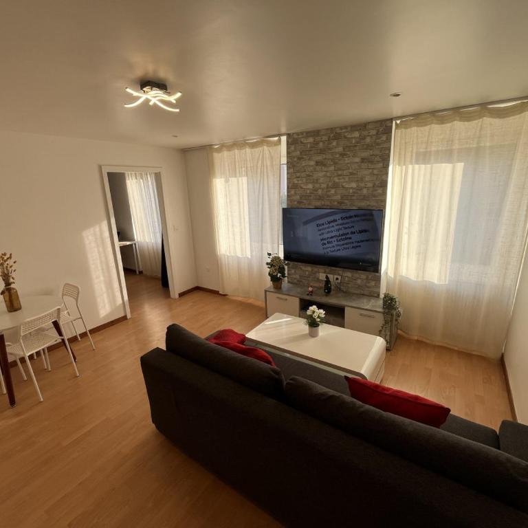 PETiT MULHOUSE 201 - Apartment mit 2 Schlafzimmern - 66