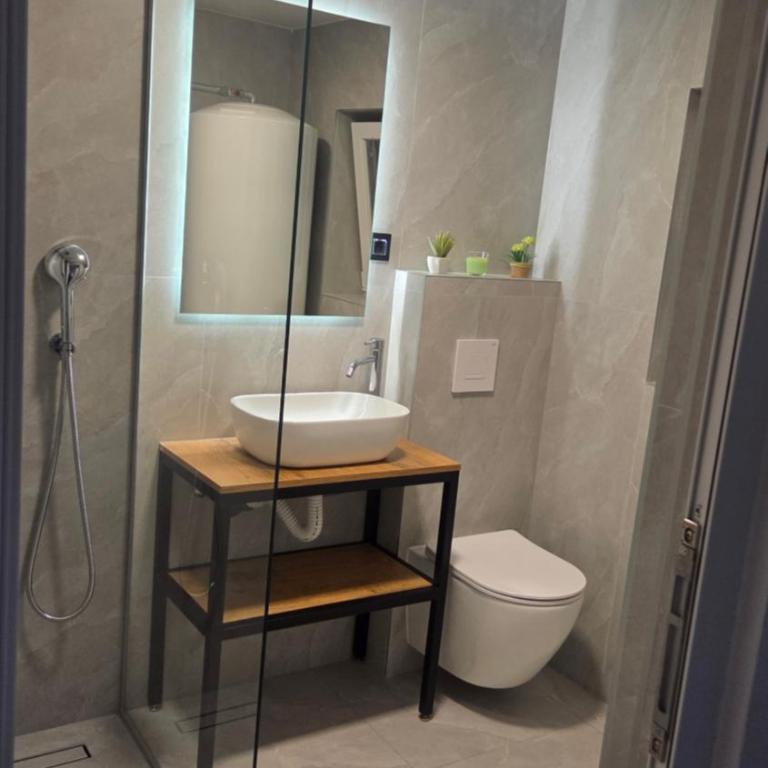 Vila Vesa - Free Secure Garage, Smart Access & Modern Comfo - Studio with Terrace - 11