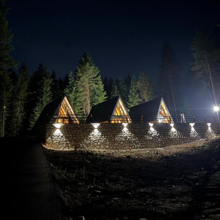 Durmitor forest lodge - Vila sa 1 Spavaćom Sobom - 21