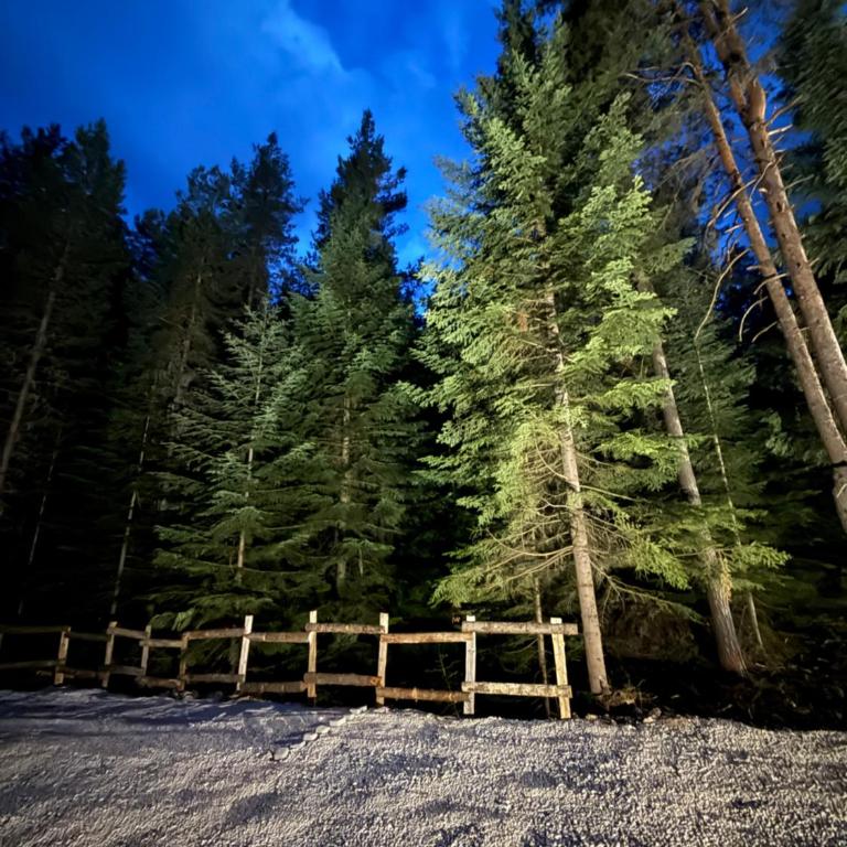 Durmitor forest lodge - Vila sa 1 Spavaćom Sobom - 22